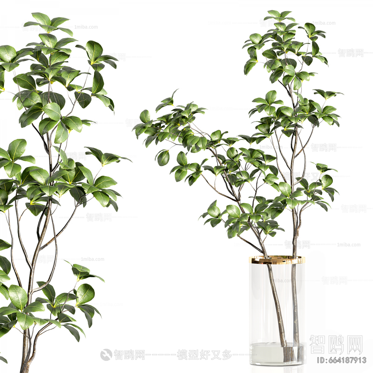 Modern Aquatic Green Plant