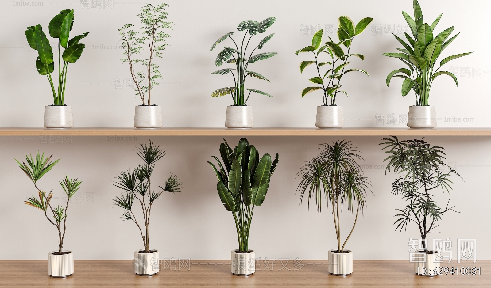 Modern Ground Green Plant Potted Plants