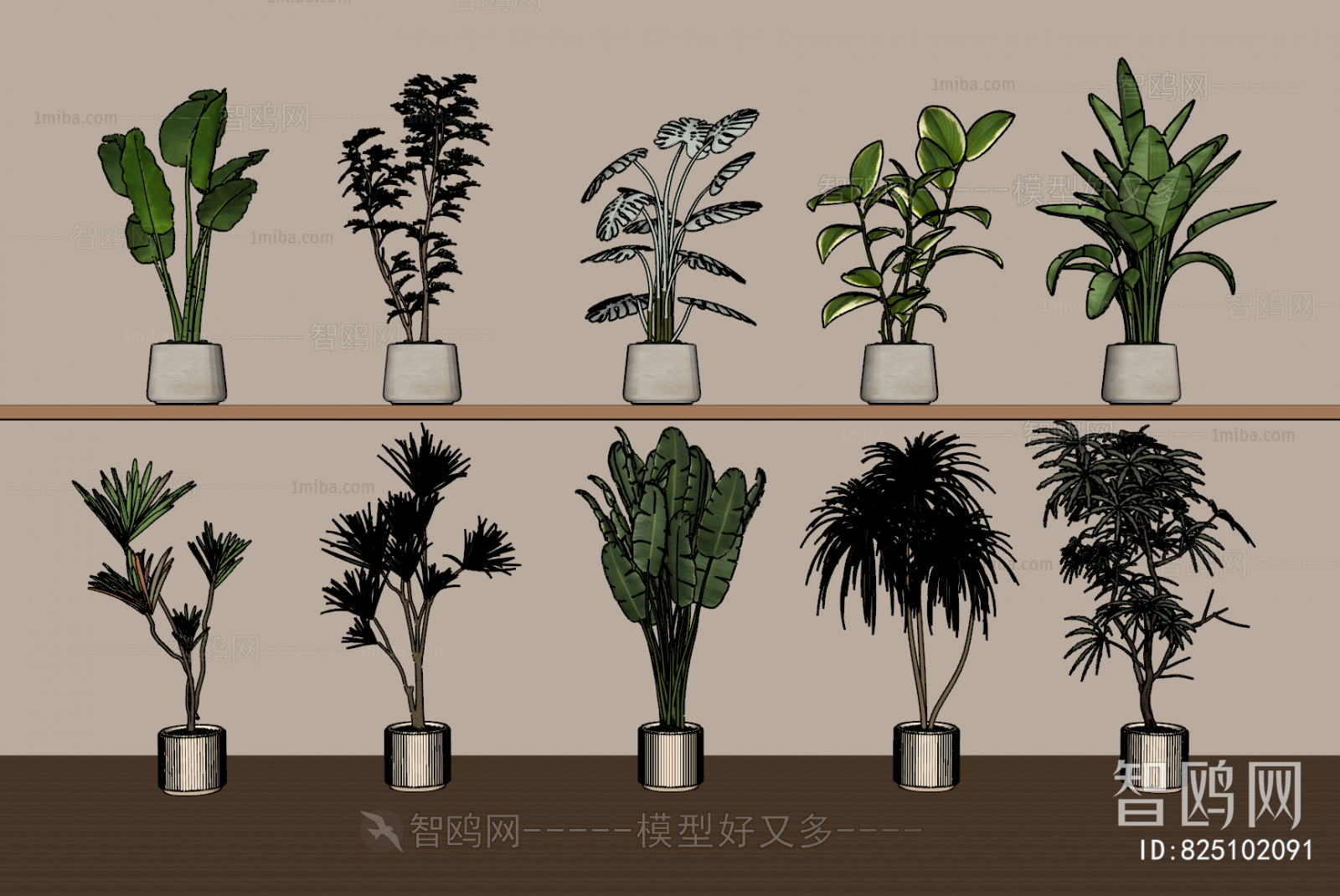 Modern Ground Green Plant Potted Plants