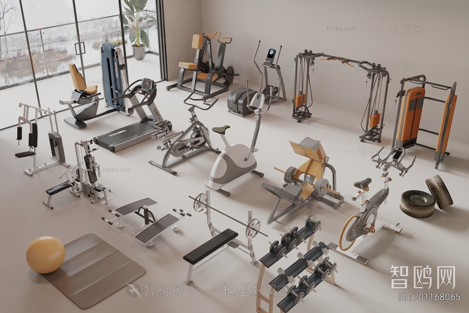 Modern Fitness Equipment