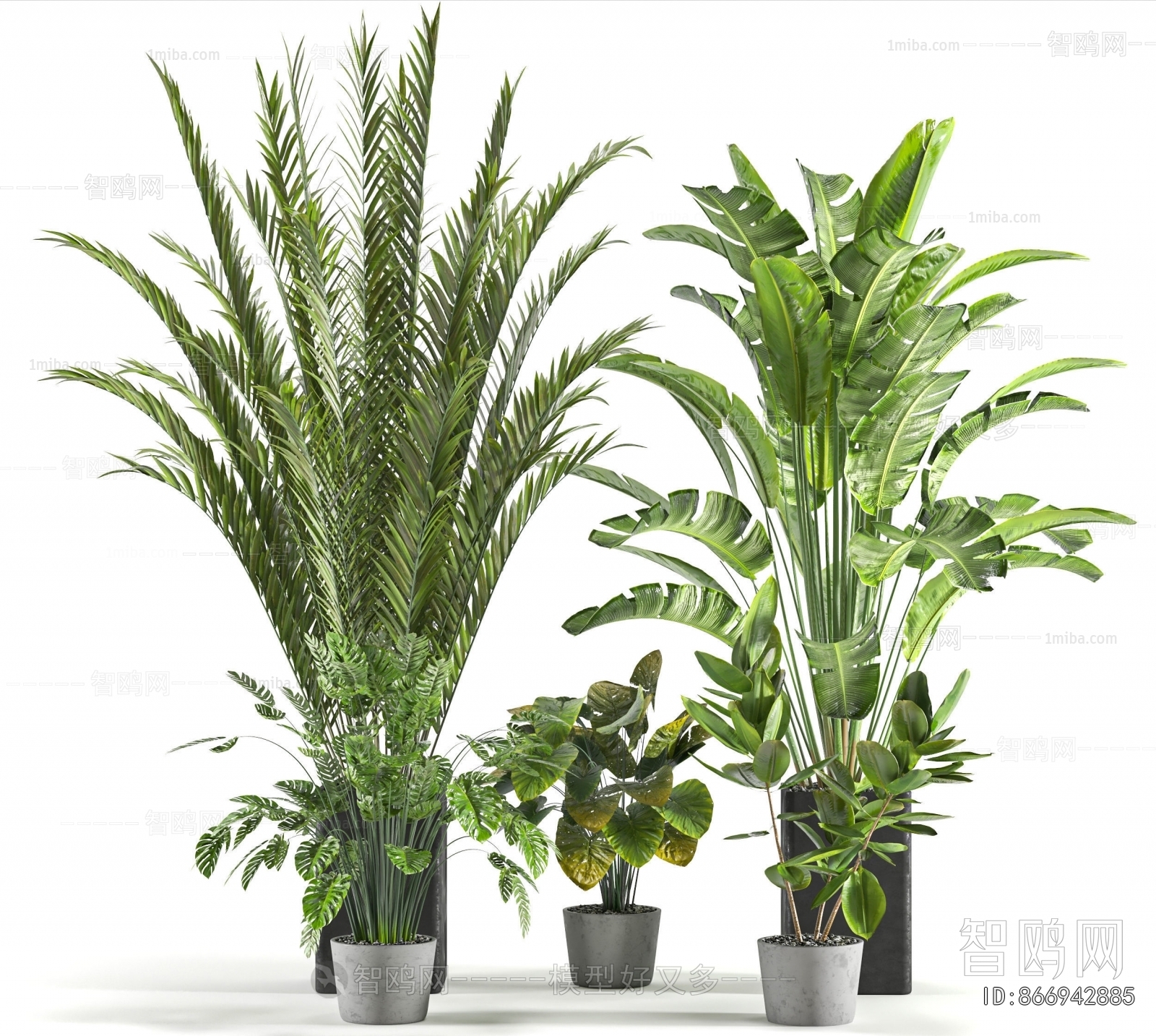 Modern Ground Green Plant Potted Plants