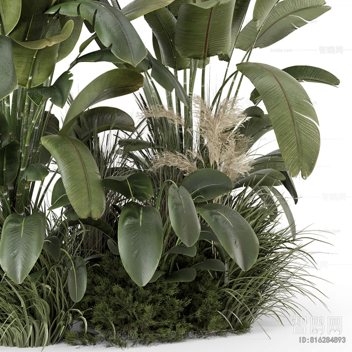Modern Plant Pile