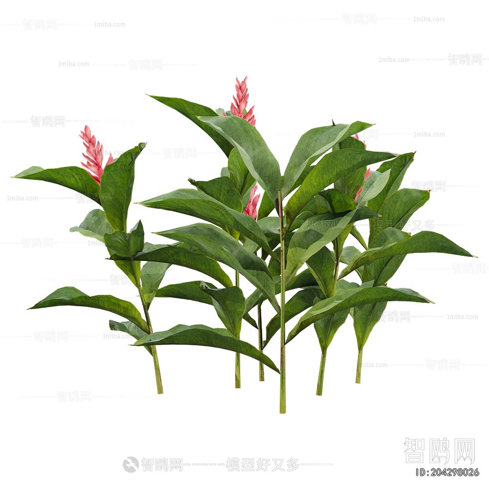 Modern Flowers And Grass