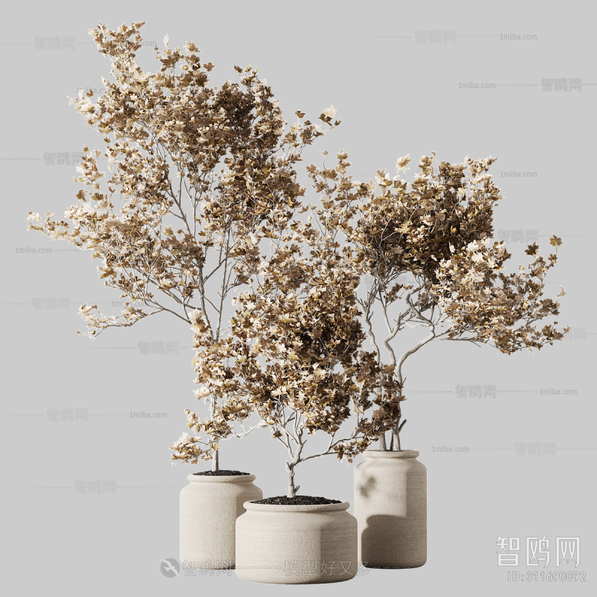 Modern Ground Green Plant Potted Plants