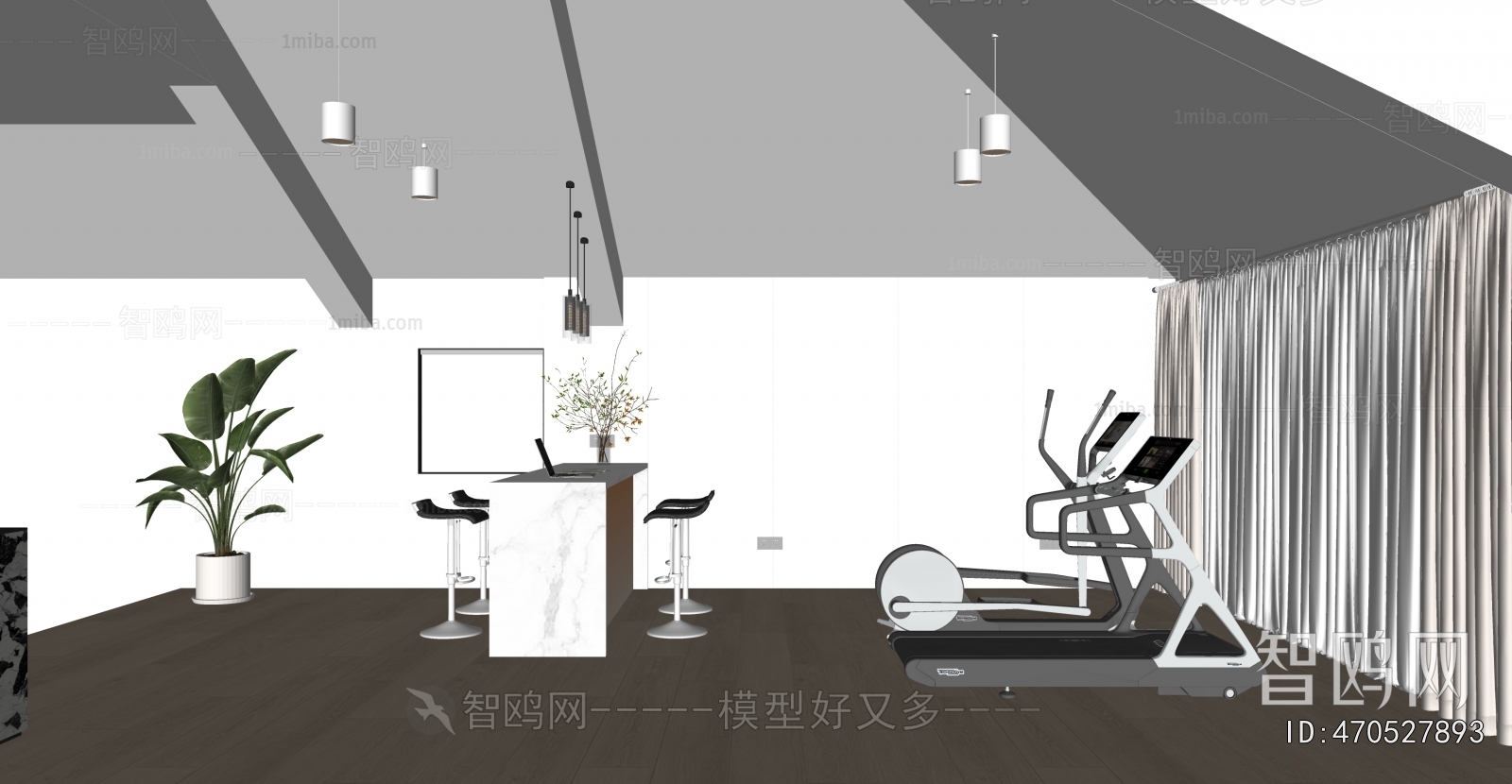 Modern Home Fitness Room