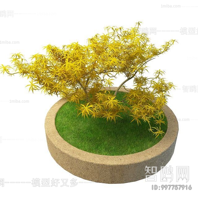 Modern Flower Bed, Flower Bowl, Flower Box