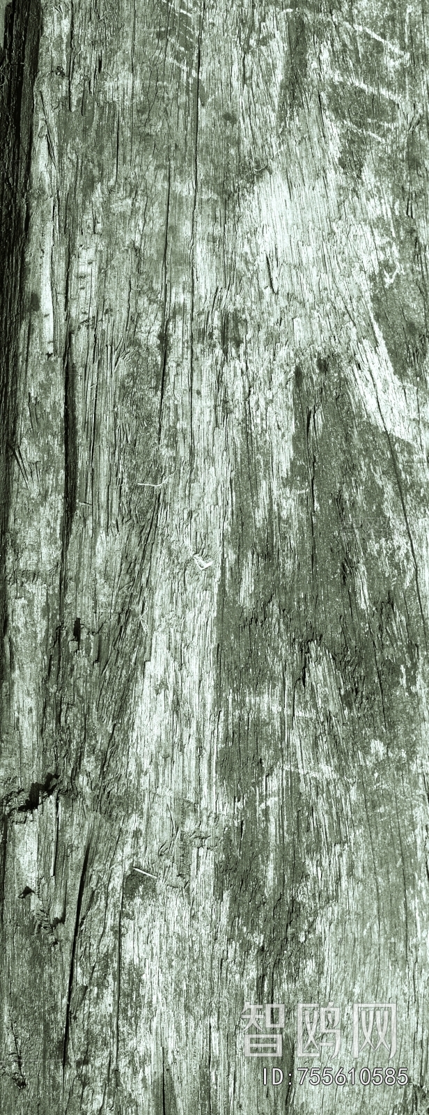 Wood Plank