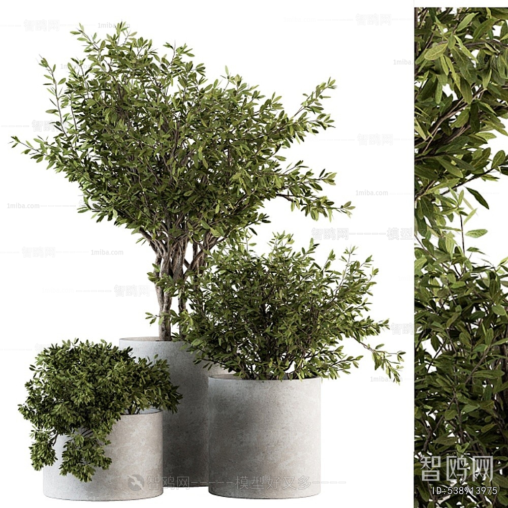 Modern Ground Green Plant Potted Plants