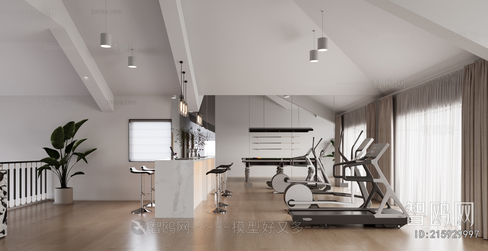 Modern Home Fitness Room