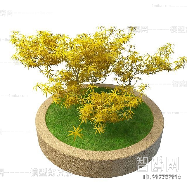 Modern Flower Bed, Flower Bowl, Flower Box