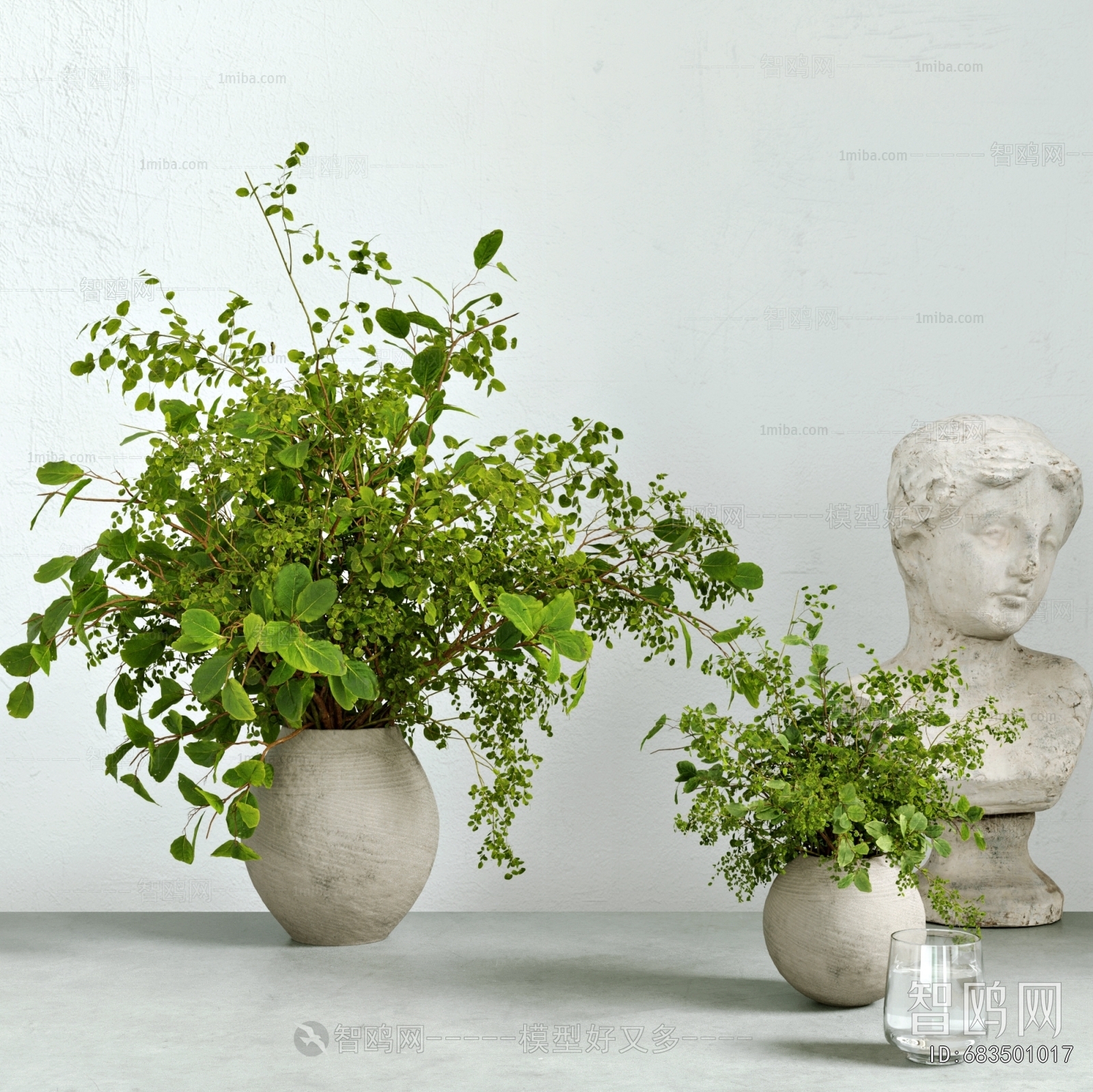 Modern Desktop Plant