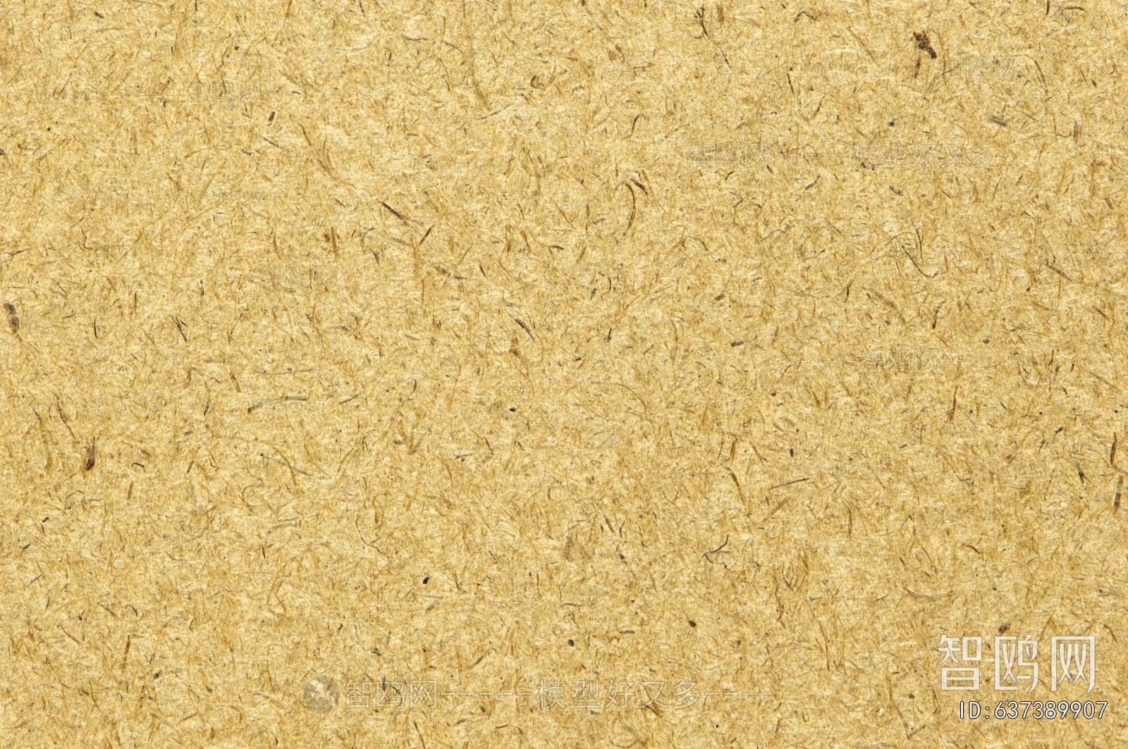 Plywood Texture