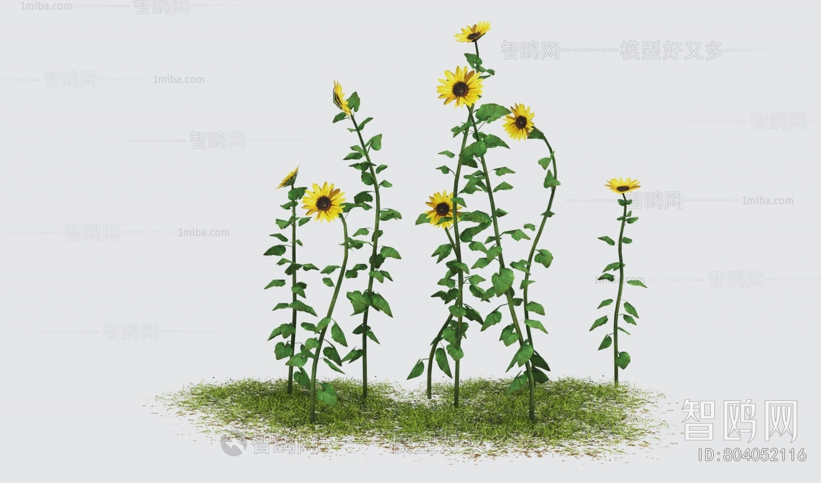 Modern Flowers And Grass