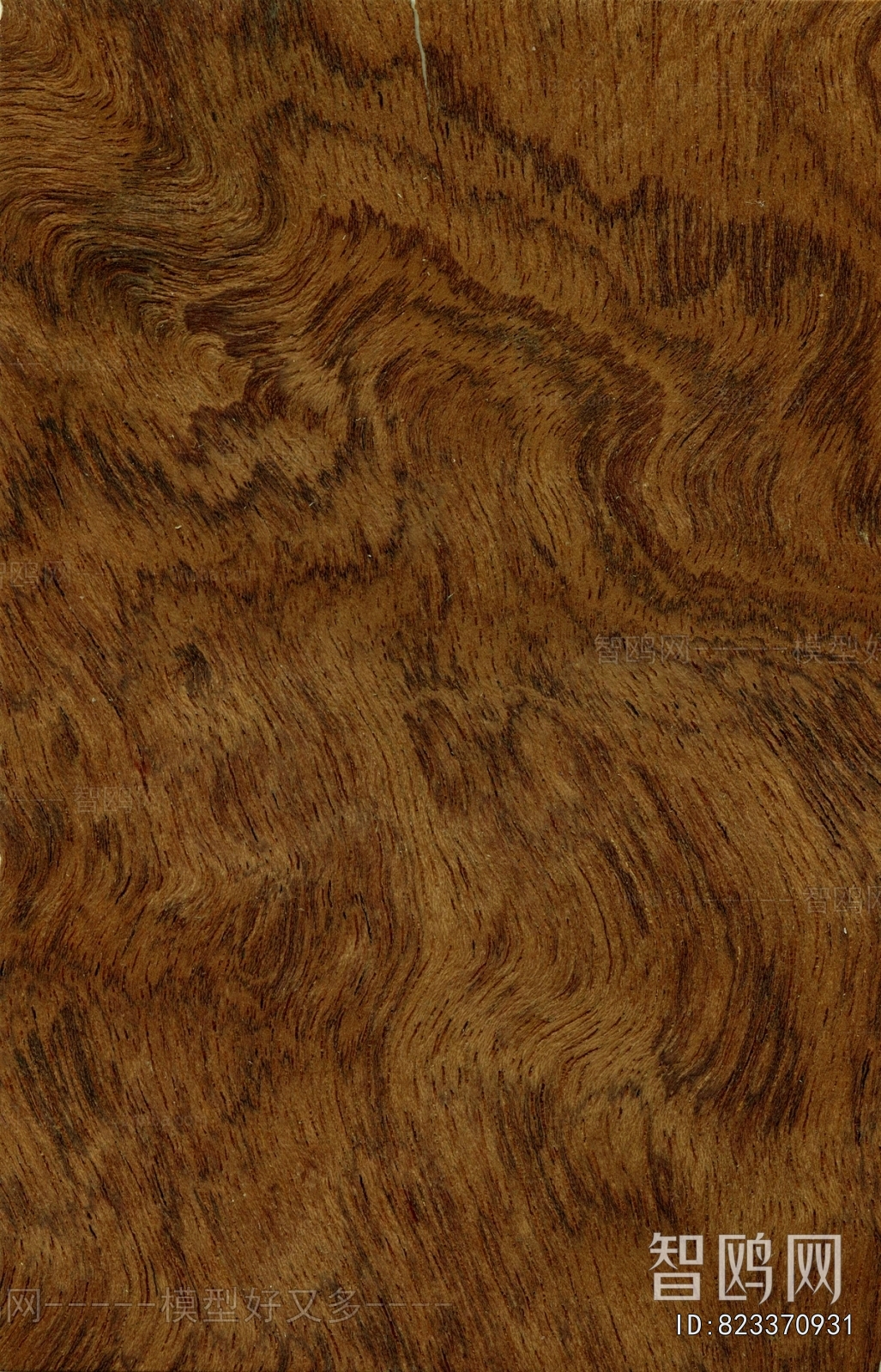 Wood Texture