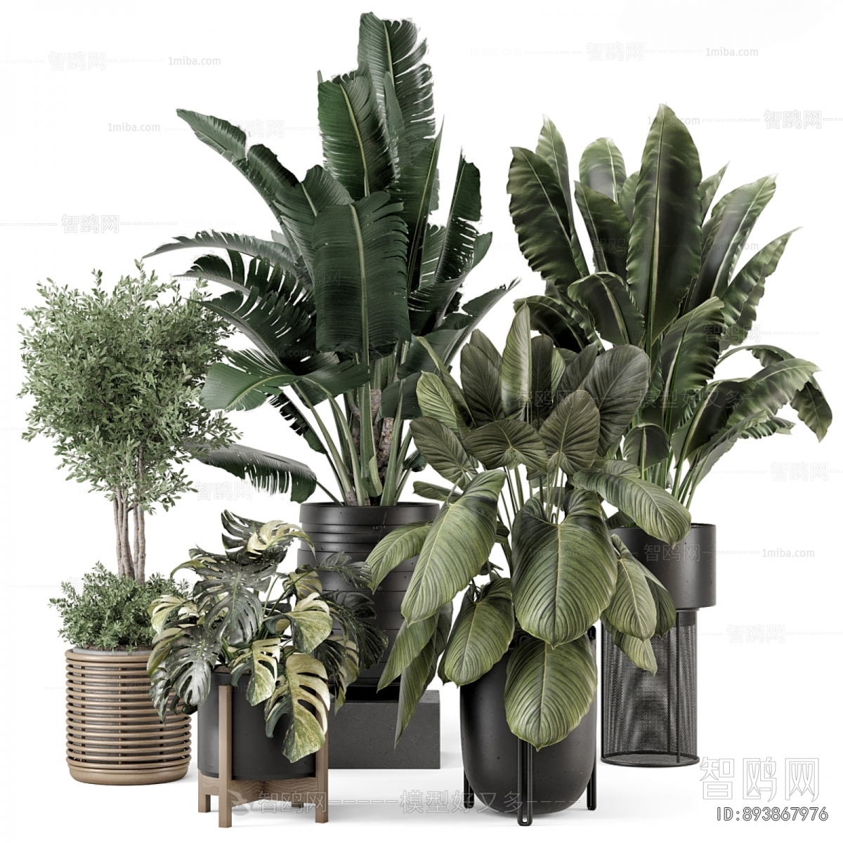 Modern Ground Green Plant Potted Plants