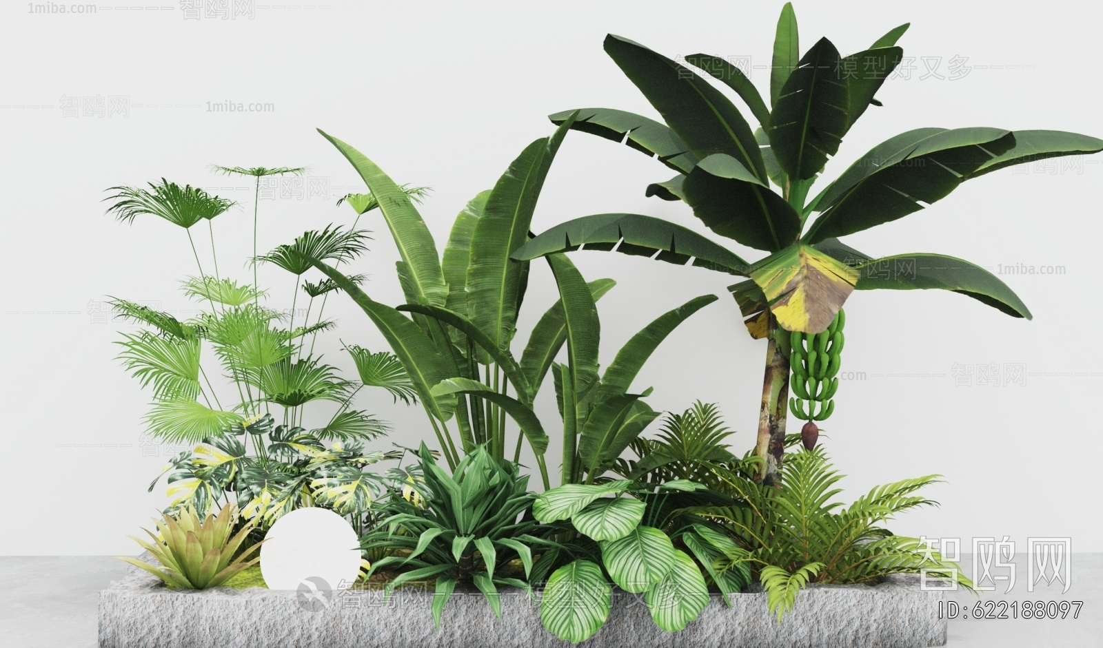 Modern Plant Landscaping