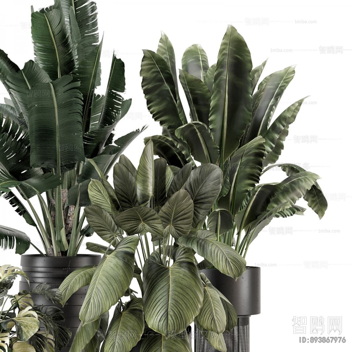 Modern Ground Green Plant Potted Plants