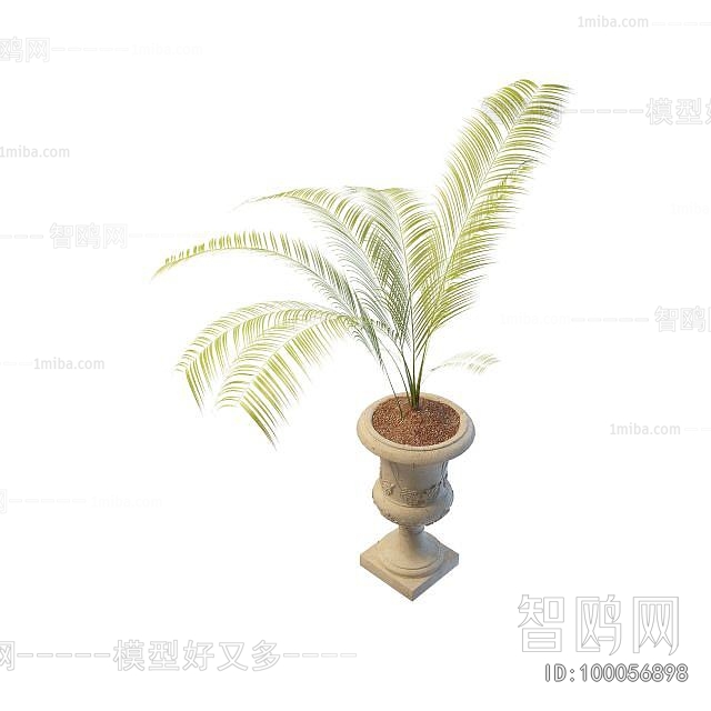 Modern Flower Bed, Flower Bowl, Flower Box