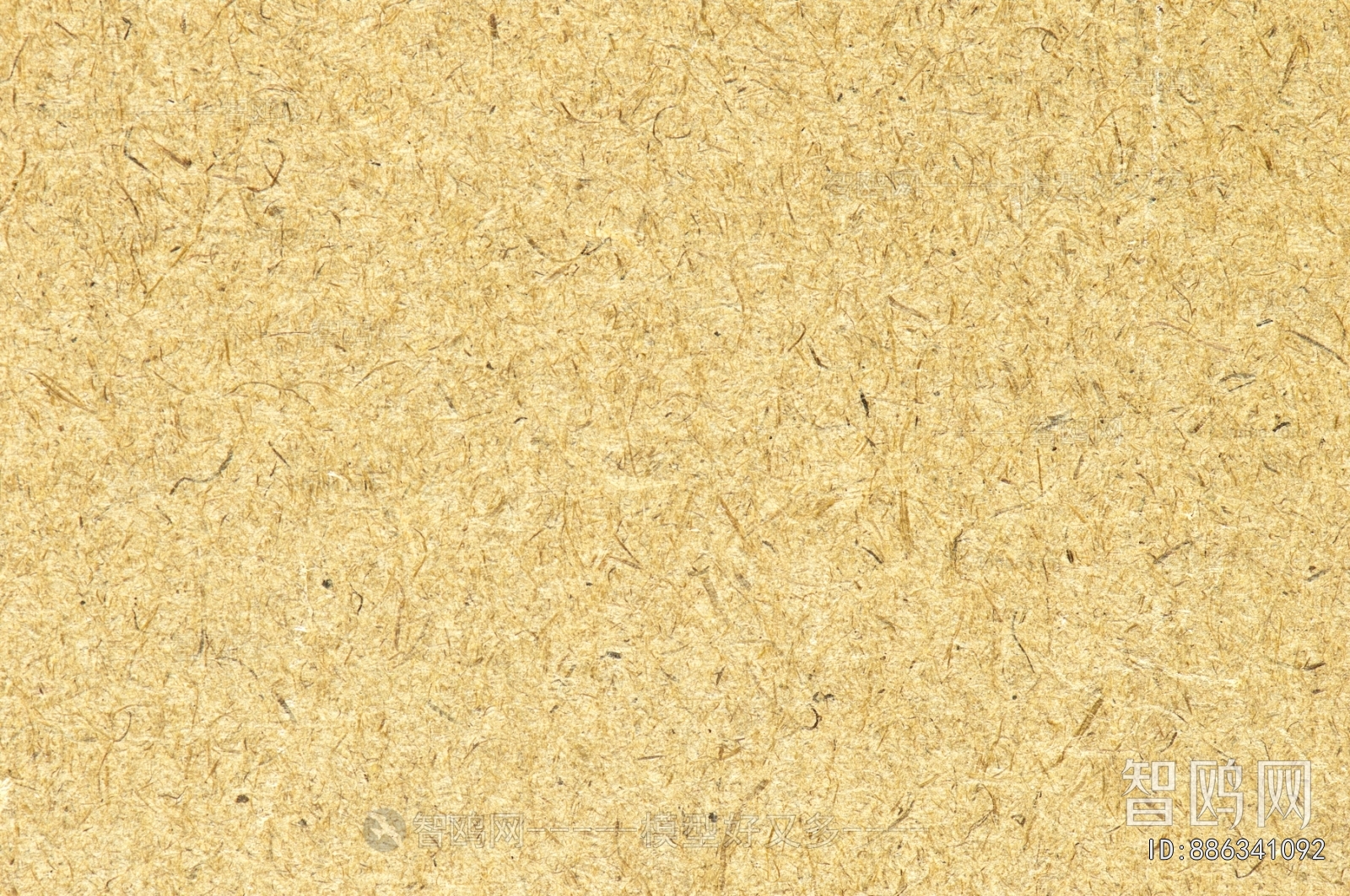 Plywood Texture