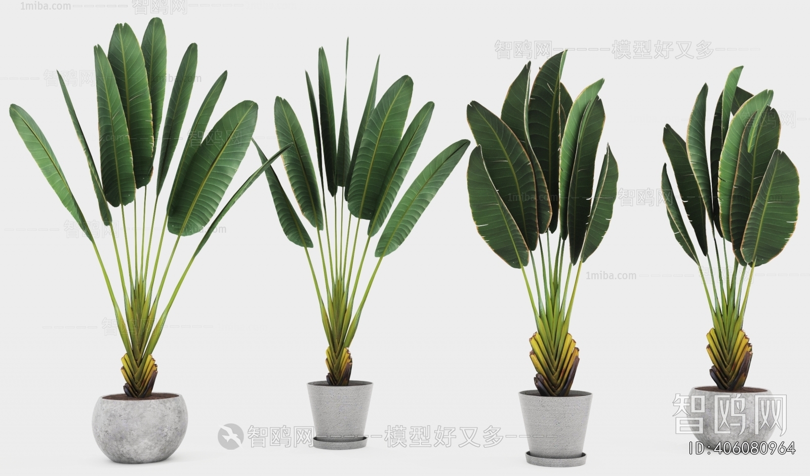 Modern Ground Green Plant Potted Plants