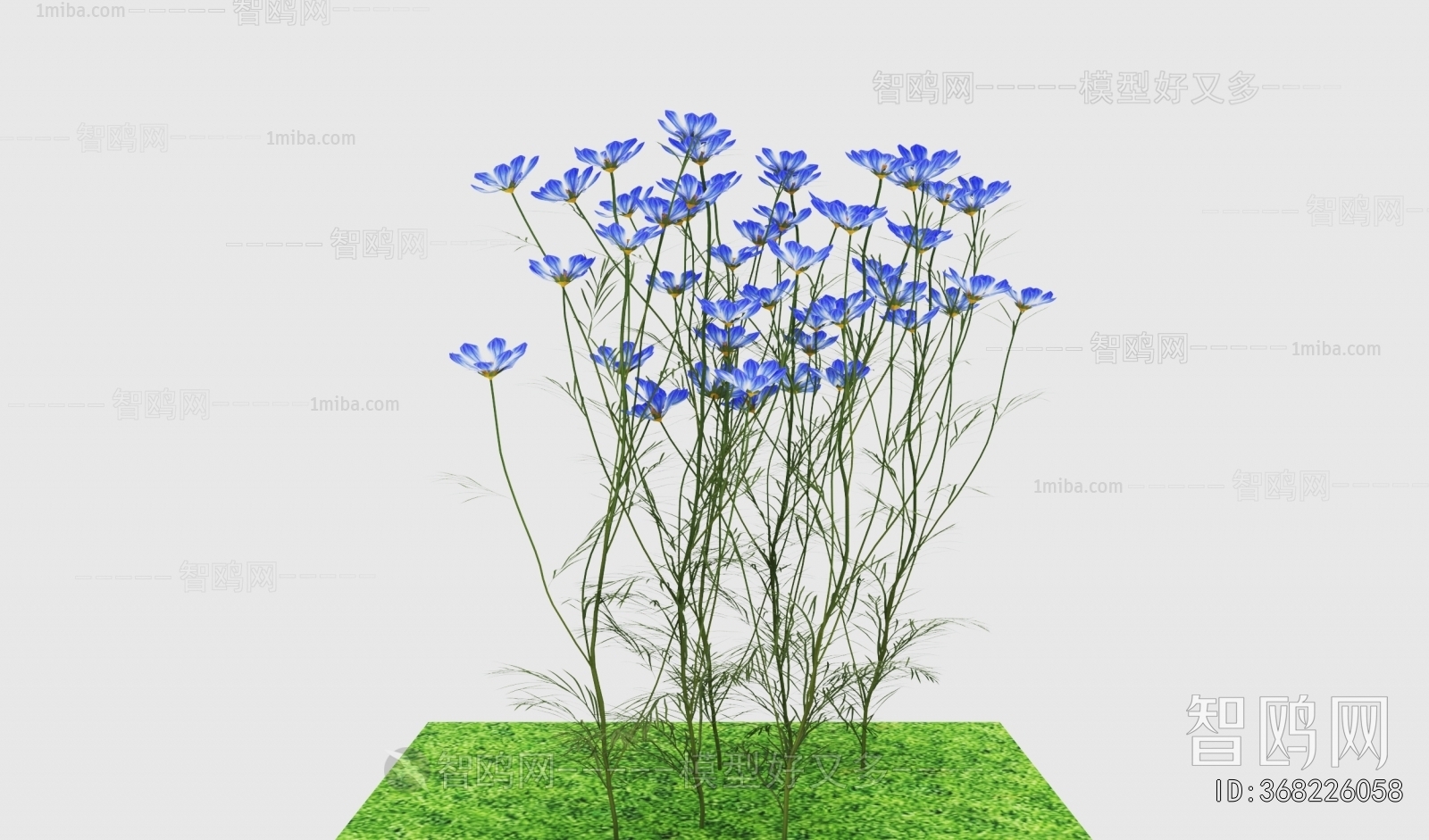 Modern Flowers And Grass