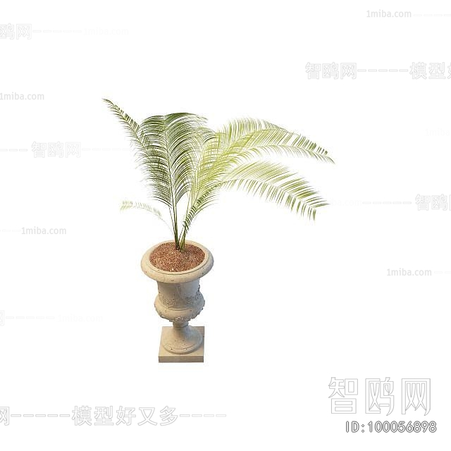 Modern Flower Bed, Flower Bowl, Flower Box