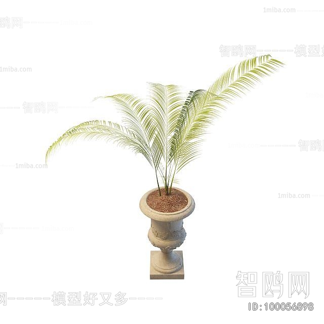 Modern Flower Bed, Flower Bowl, Flower Box