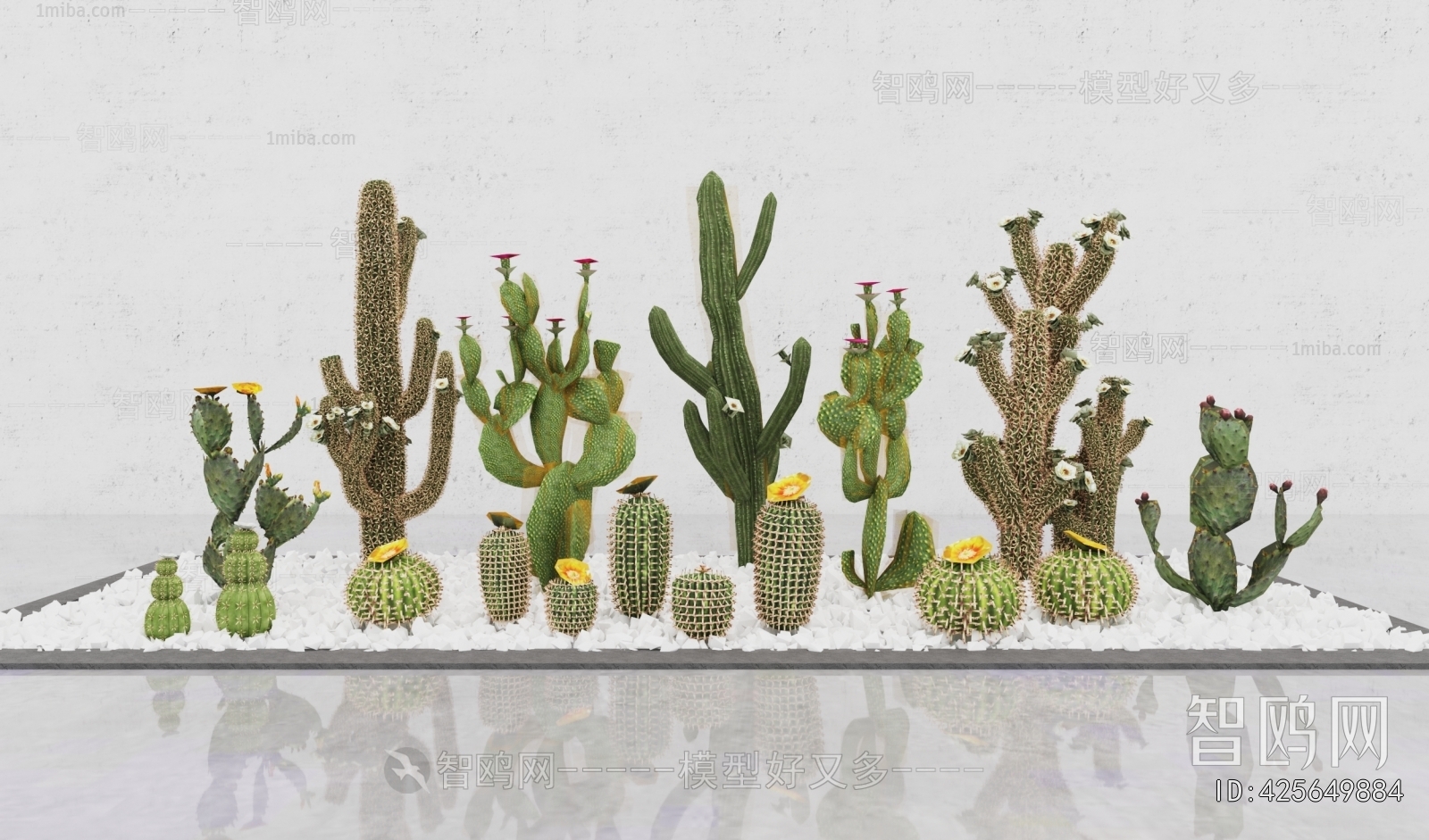 Modern Plant Landscaping