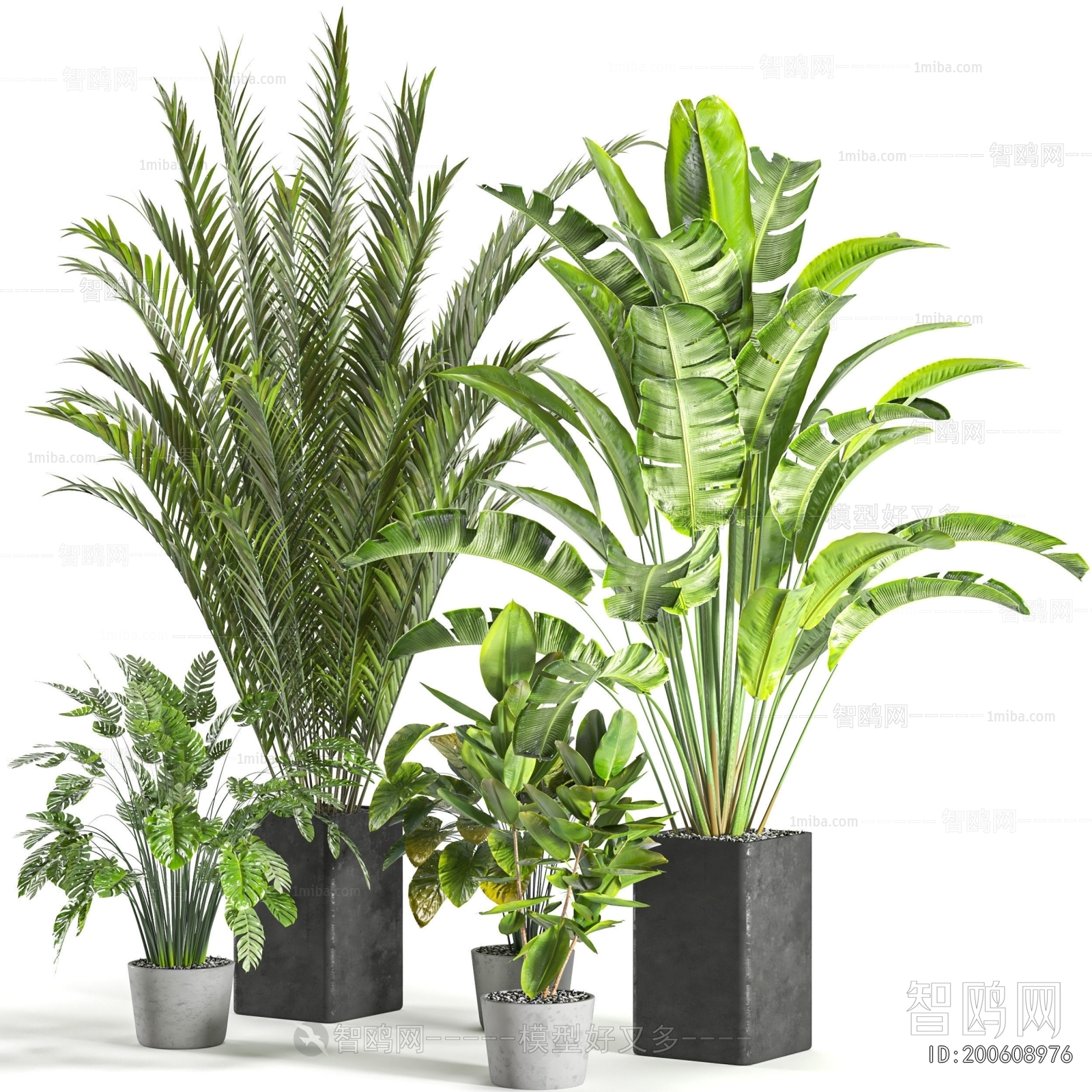 Modern Ground Green Plant Potted Plants