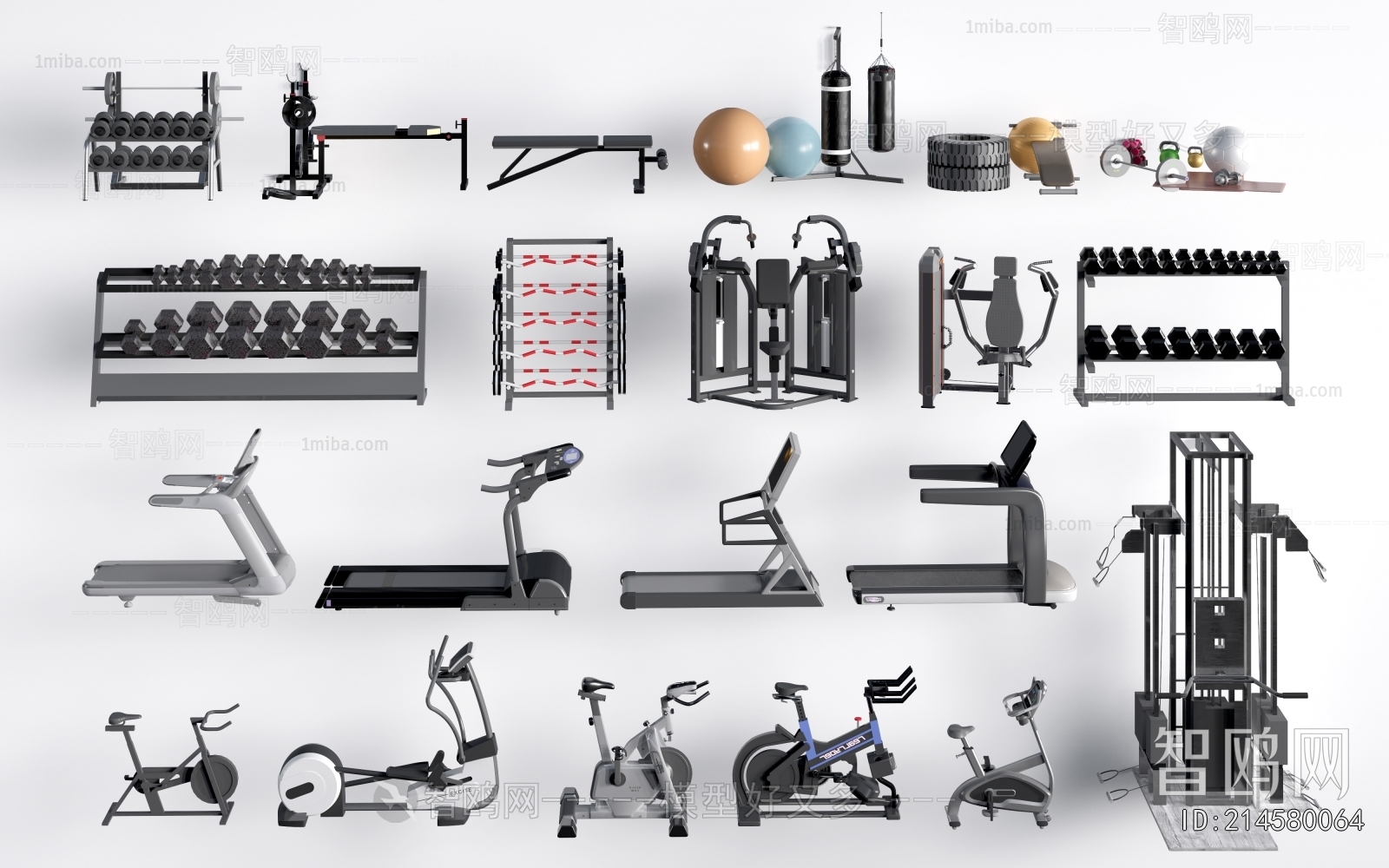 Modern Fitness Equipment