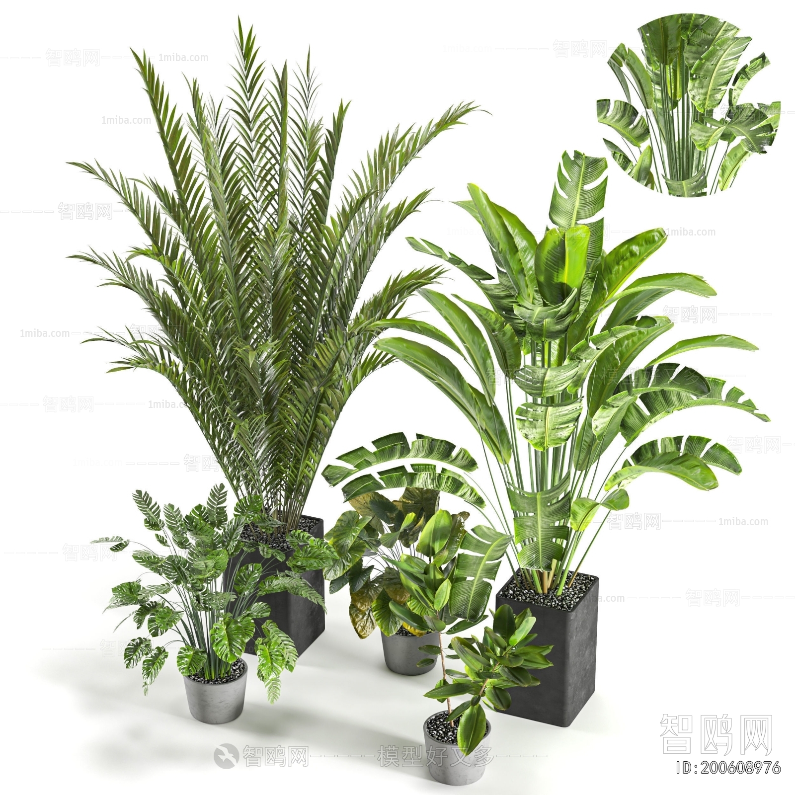 Modern Ground Green Plant Potted Plants