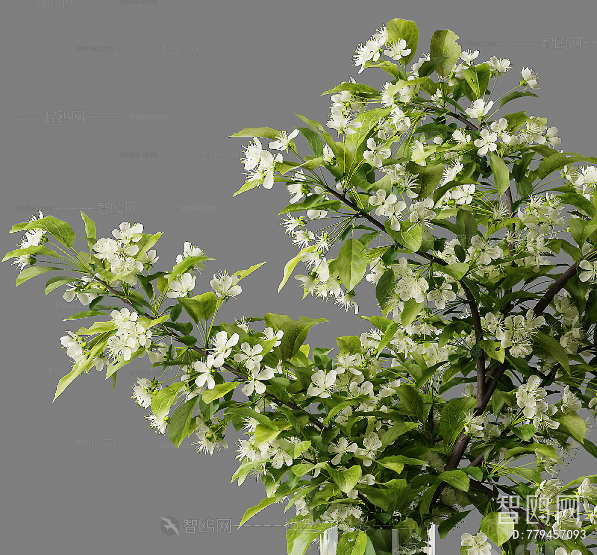 Modern Aquatic Green Plant