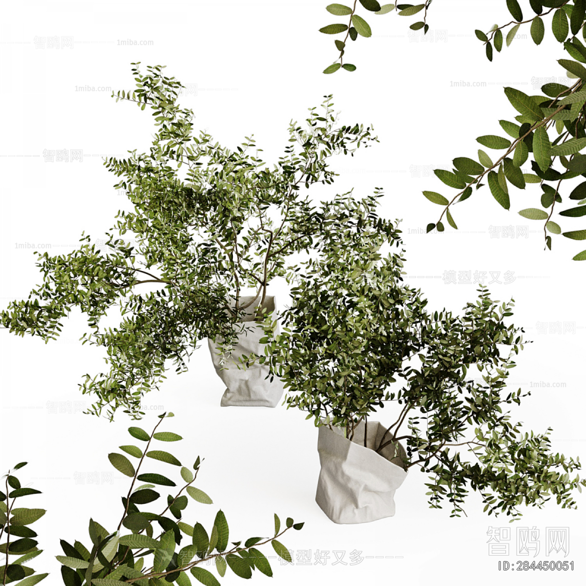 Modern Aquatic Green Plant