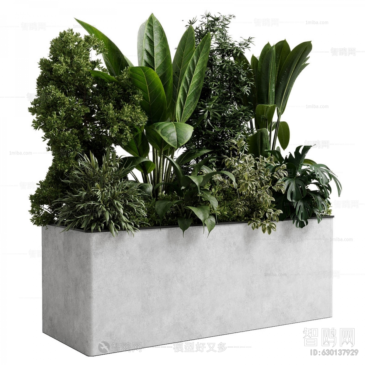 Modern Flower Bed, Flower Bowl, Flower Box