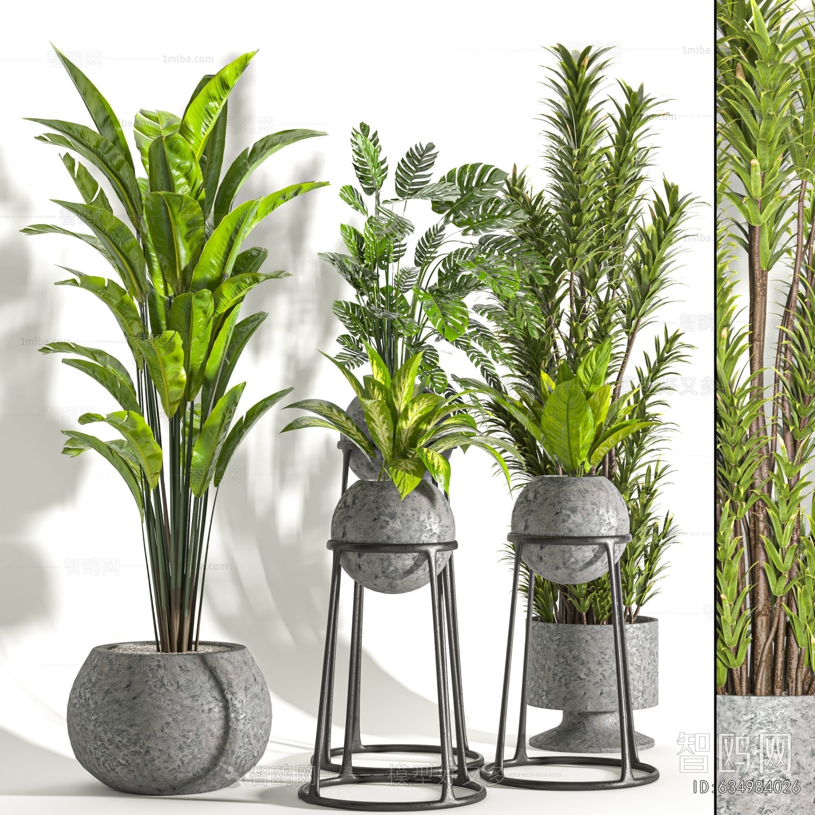 Modern Ground Green Plant Potted Plants