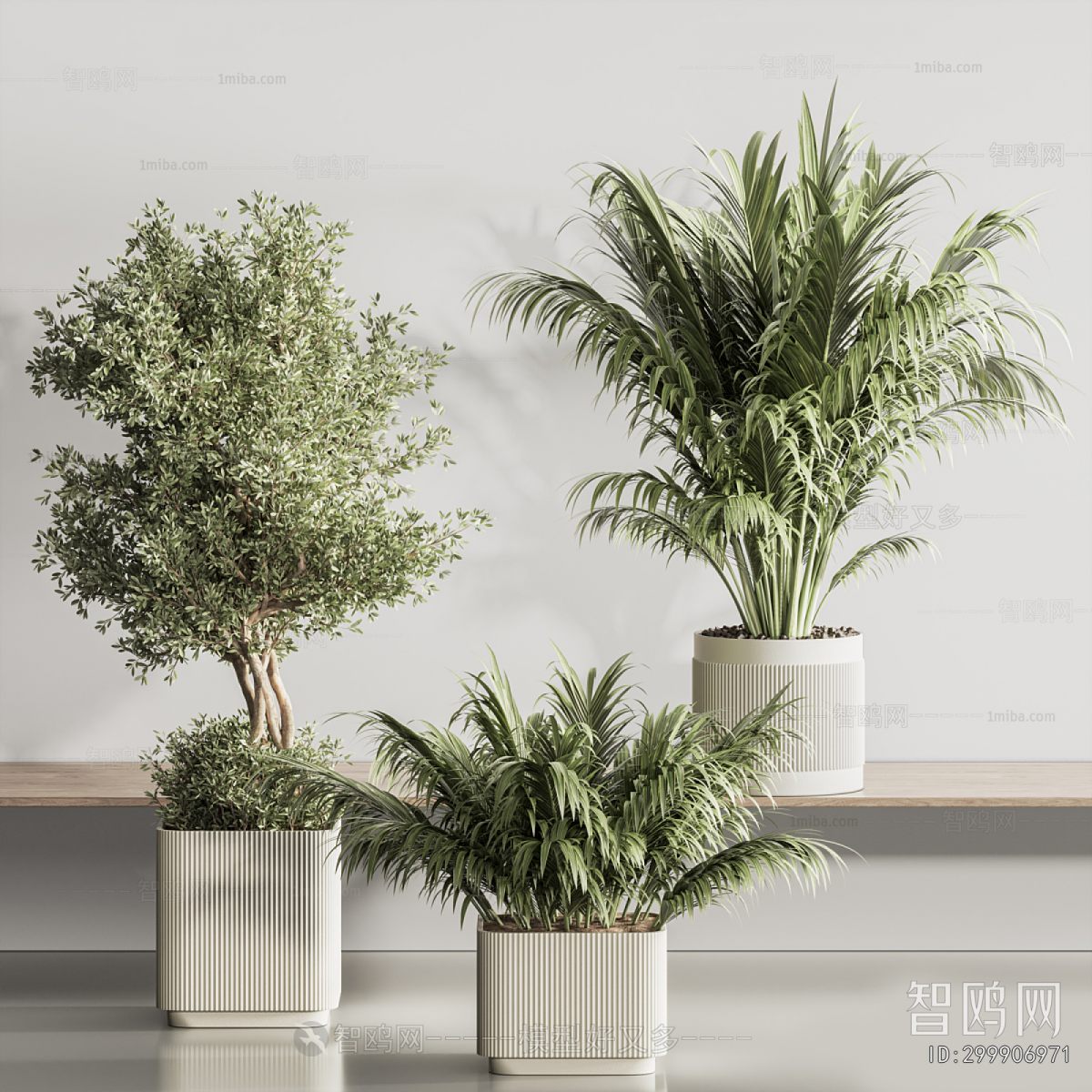 Modern Ground Green Plant Potted Plants