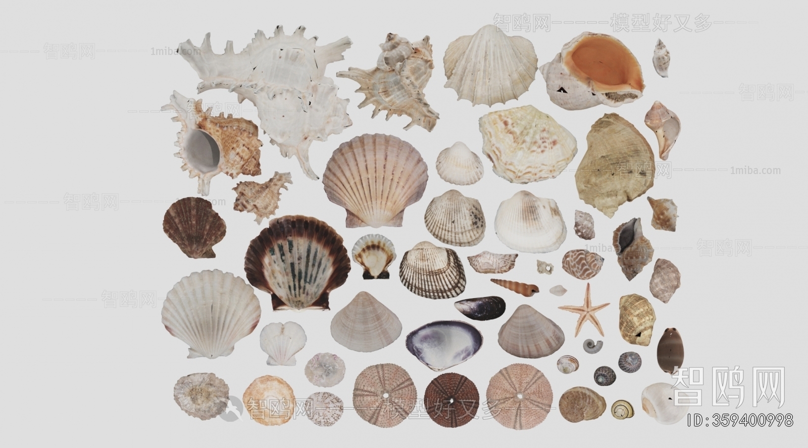 Modern Aquatic Animals