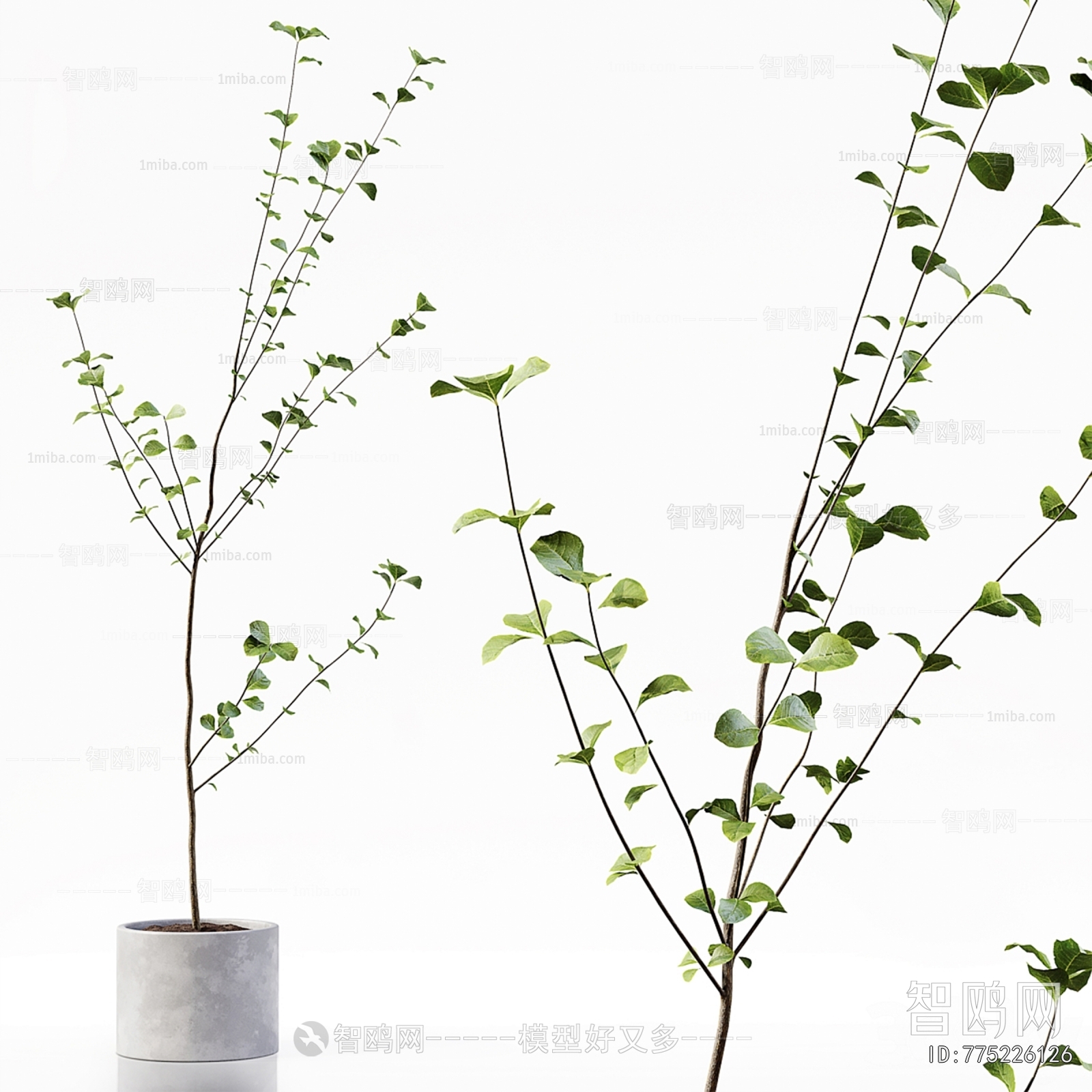 Modern Ground Green Plant Potted Plants