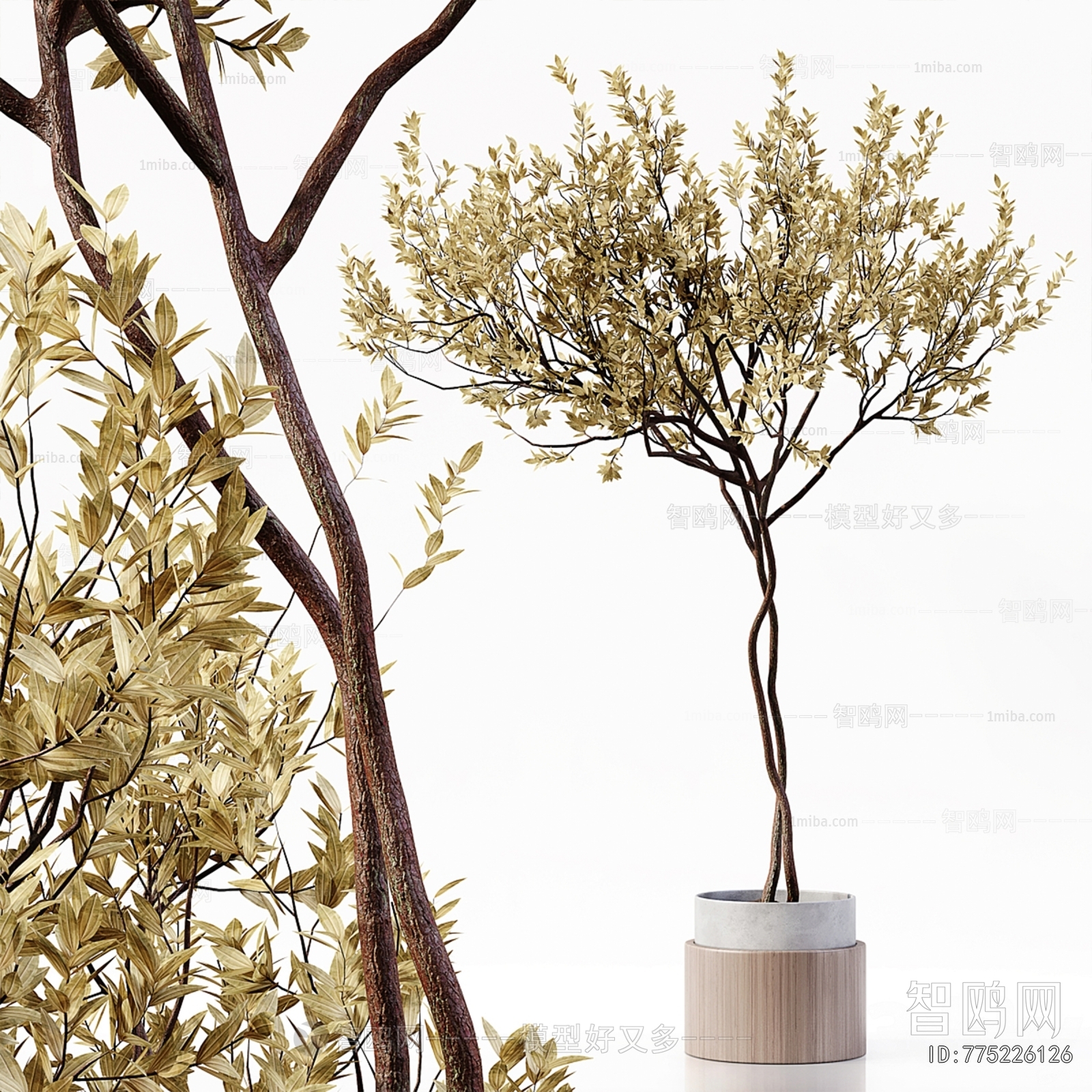 Modern Ground Green Plant Potted Plants