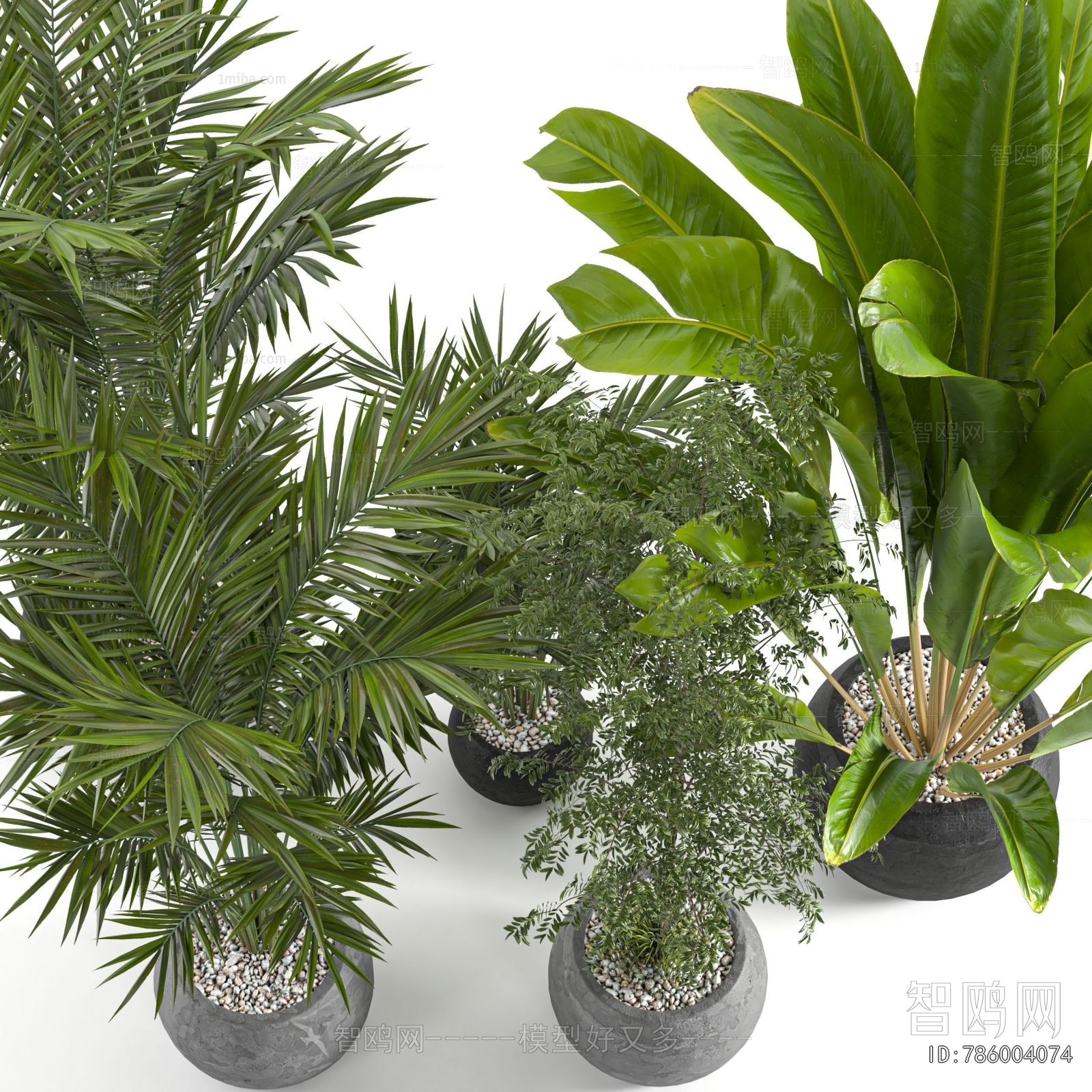 Modern Ground Green Plant Potted Plants