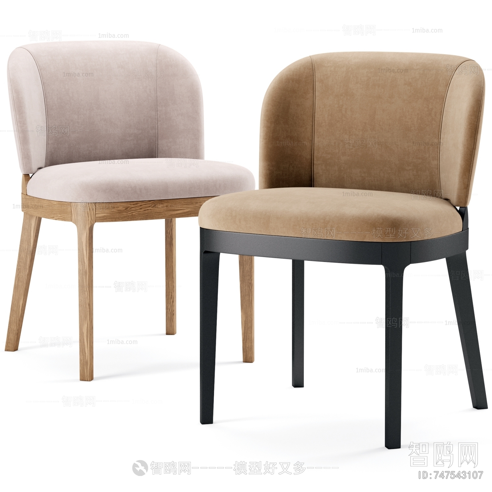 Modern Dining Chair