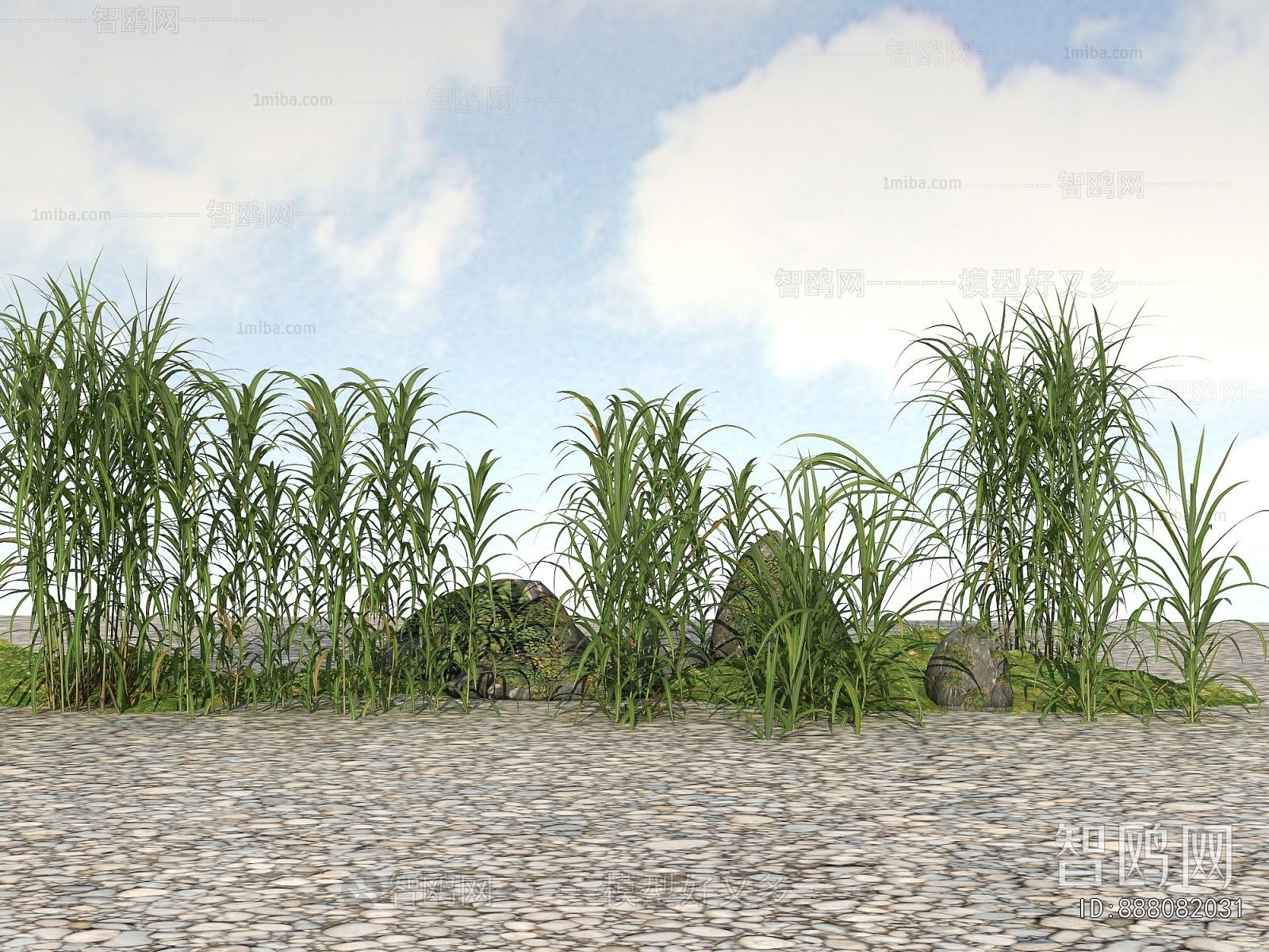 Modern The Grass