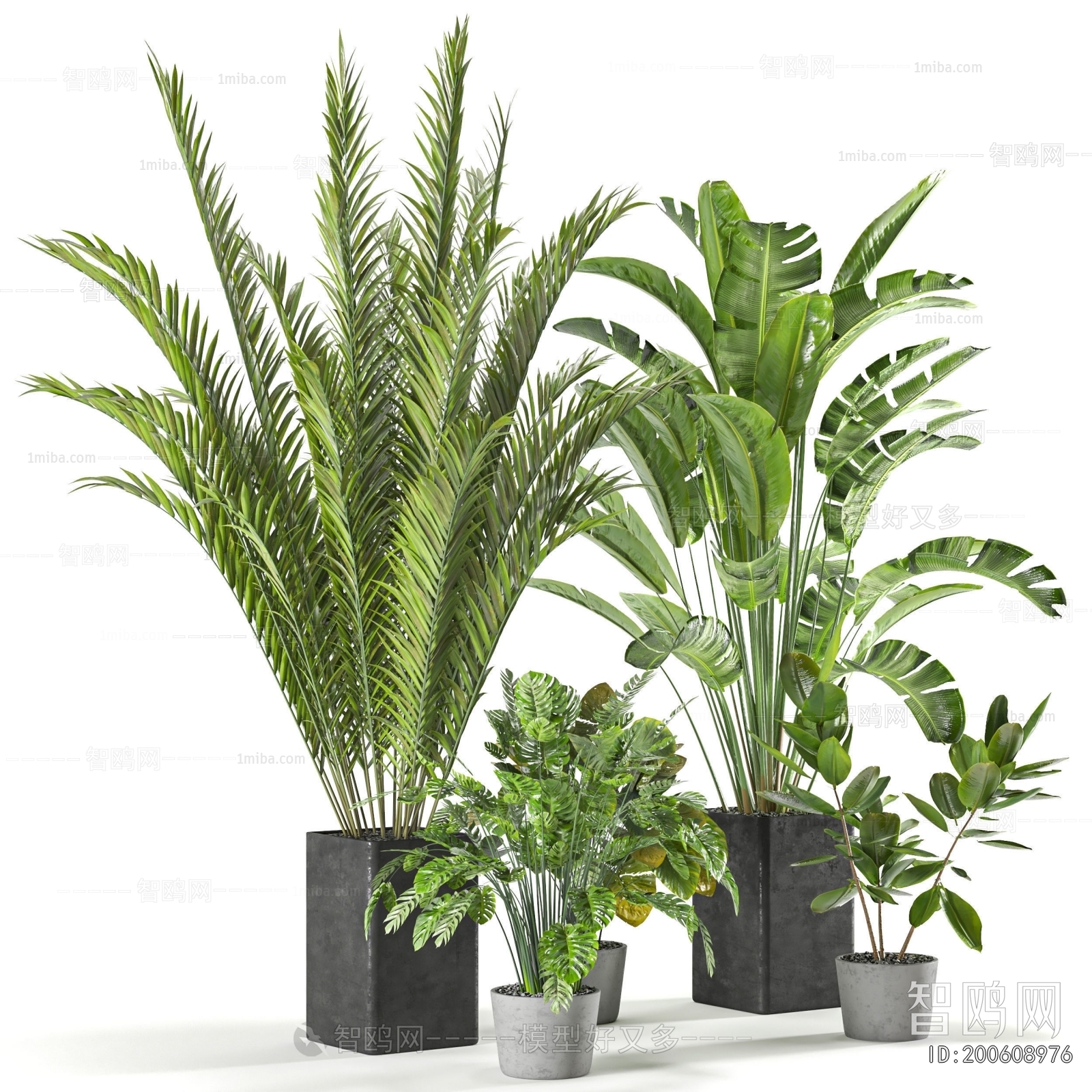 Modern Ground Green Plant Potted Plants