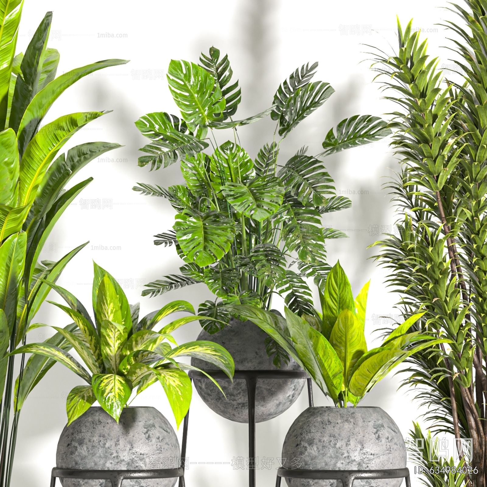 Modern Ground Green Plant Potted Plants
