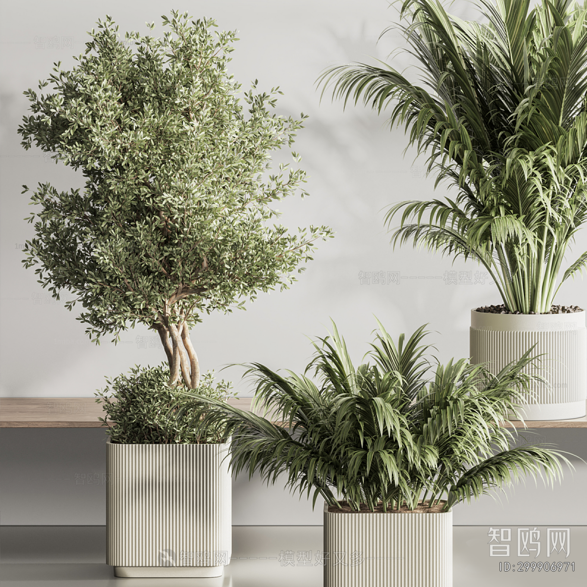Modern Ground Green Plant Potted Plants