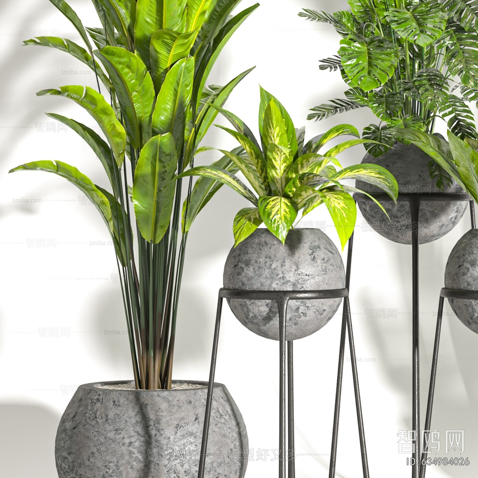 Modern Ground Green Plant Potted Plants
