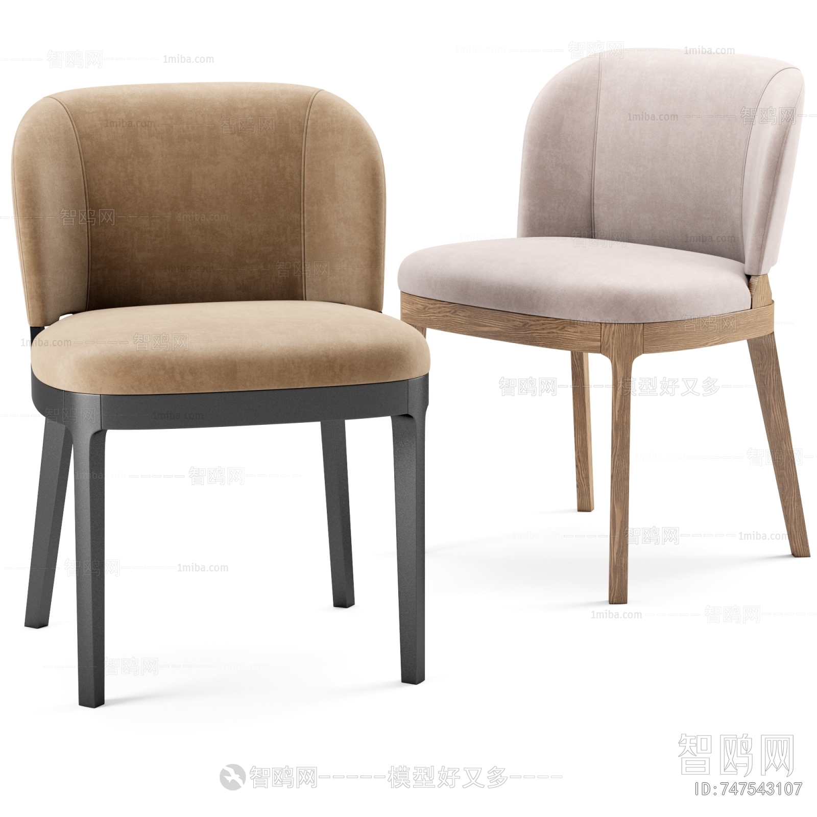 Modern Dining Chair