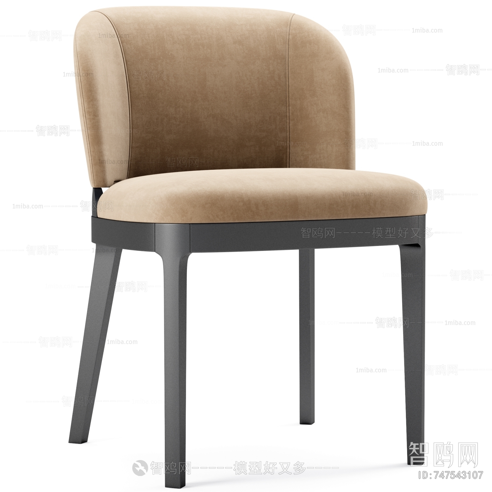 Modern Dining Chair