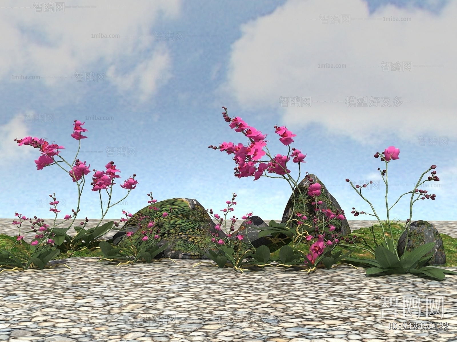 Modern Flowers And Grass