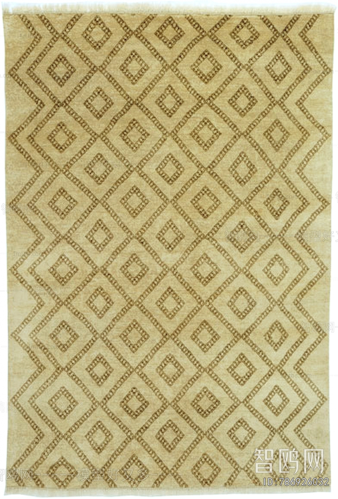 Modern Rug